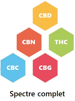 Huiles de CBD Full Spectrum