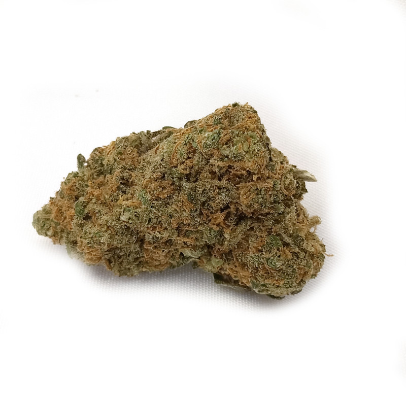 Fleur de CBD Watermelon – Indoor